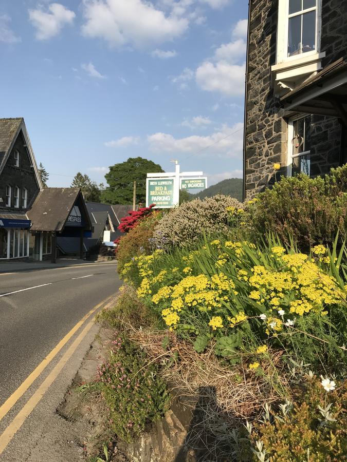 Bryn Llewelyn Bed and Breakfast Betws-y-Coed Eksteriør billede